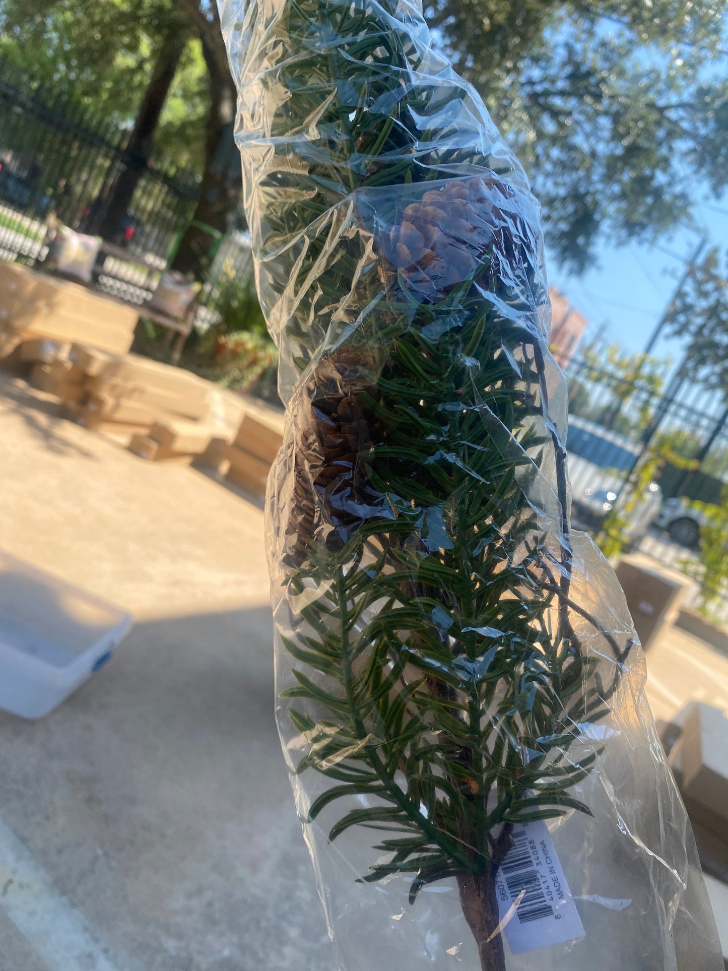 29 Inch pine stem w/pinecones